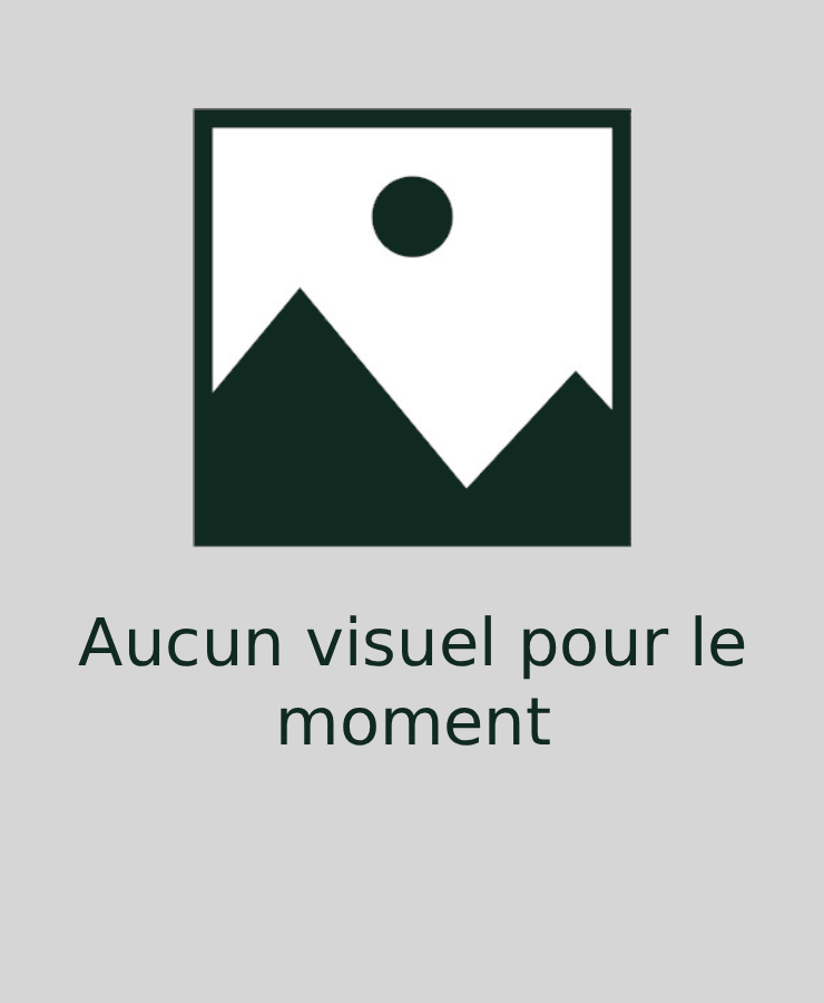 Bloc 3D sans socle